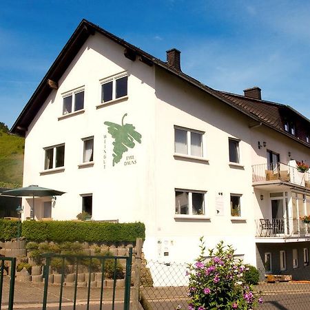 Weingut-Brennerei-Gaestehaus Emil Dauns 瑞尔 外观 照片