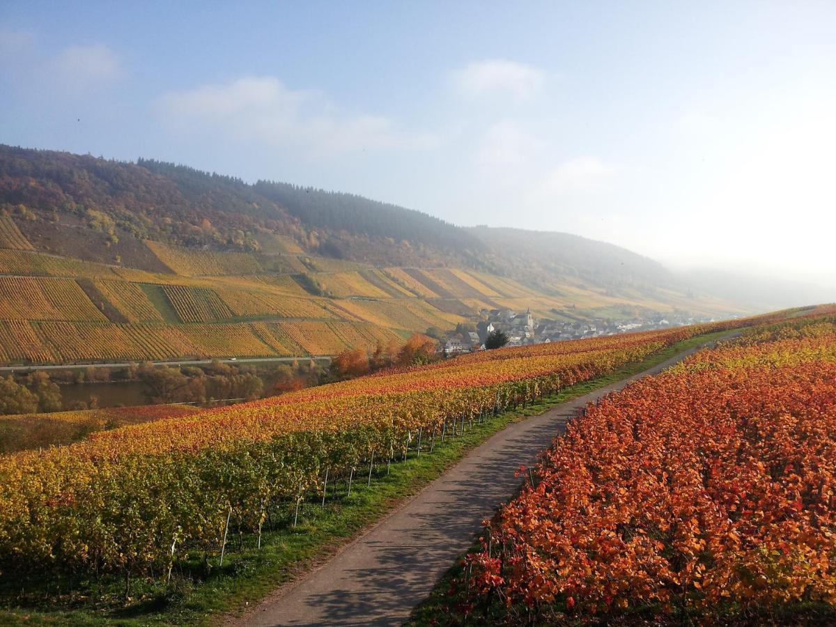 Weingut-Brennerei-Gaestehaus Emil Dauns 瑞尔 外观 照片