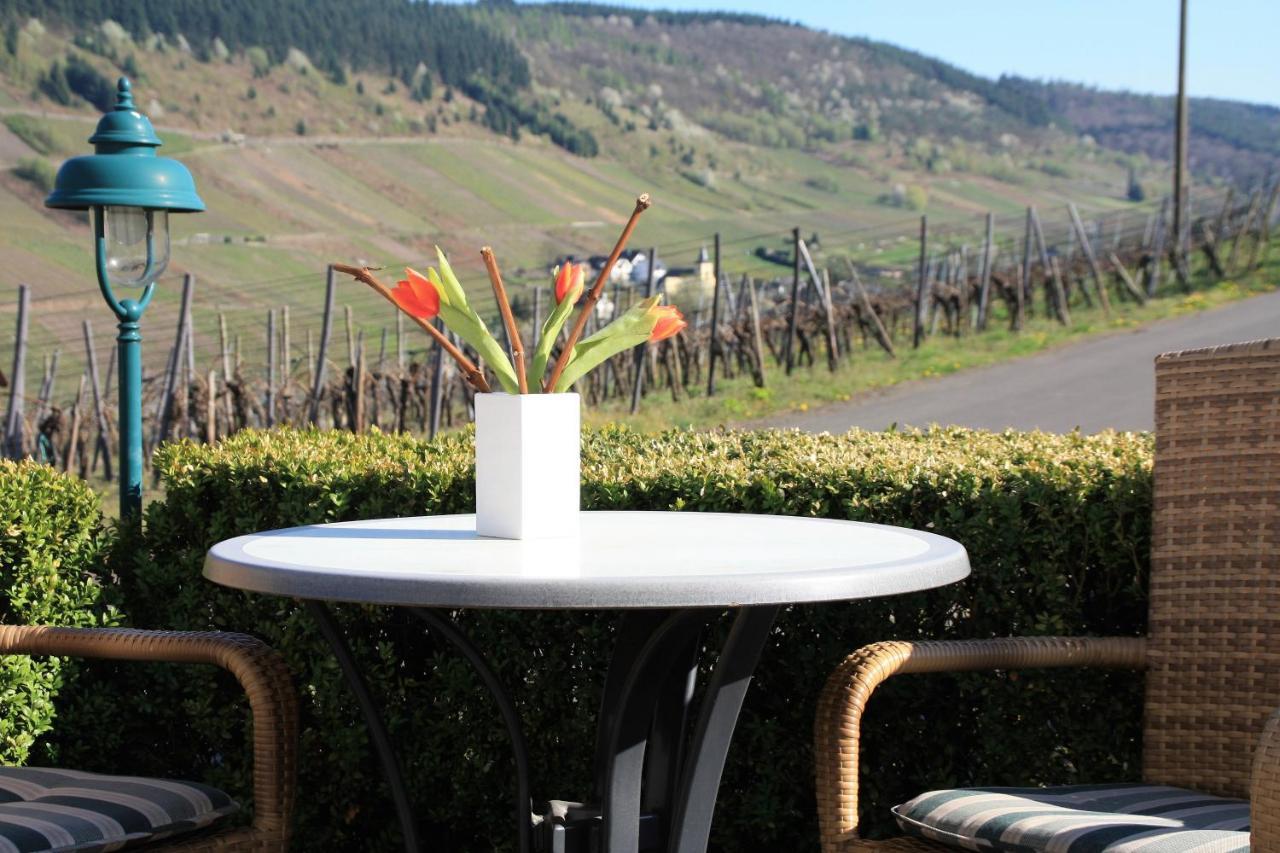 Weingut-Brennerei-Gaestehaus Emil Dauns 瑞尔 外观 照片
