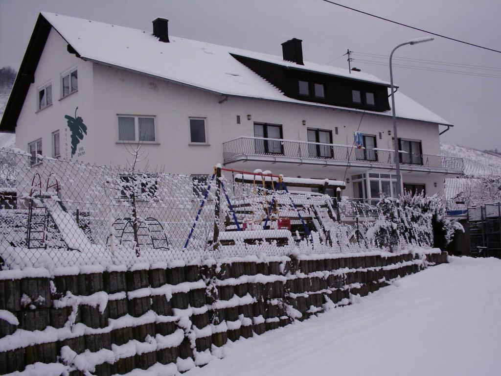 Weingut-Brennerei-Gaestehaus Emil Dauns 瑞尔 外观 照片