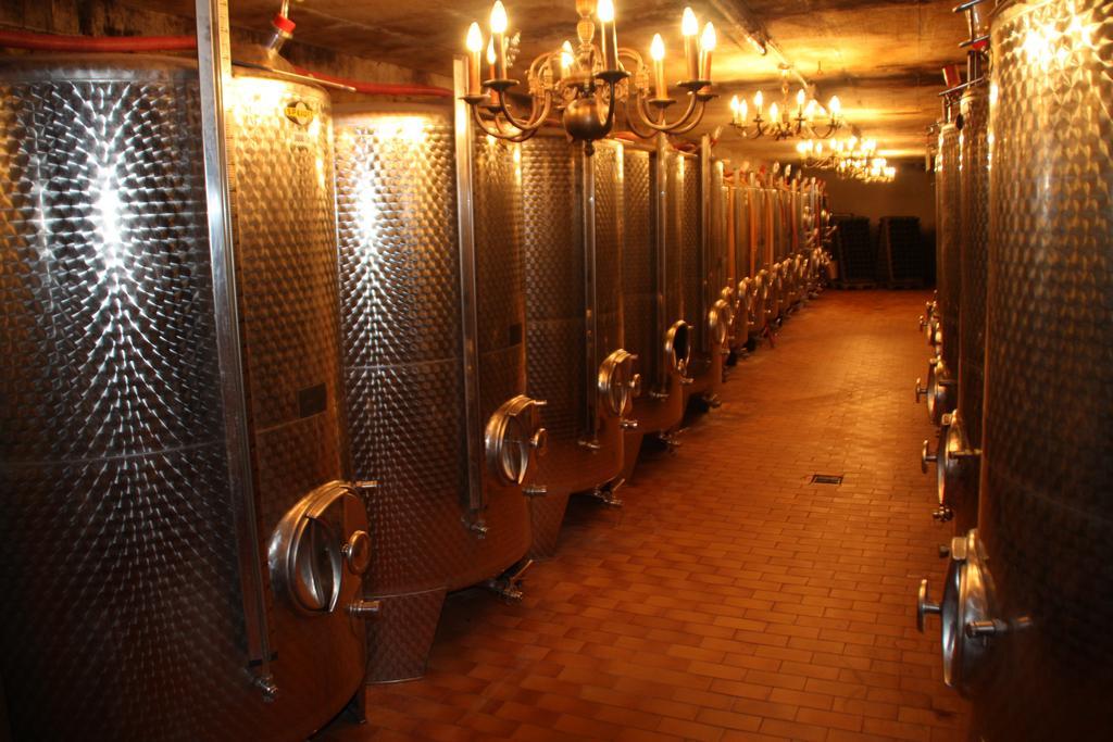 Weingut-Brennerei-Gaestehaus Emil Dauns 瑞尔 外观 照片
