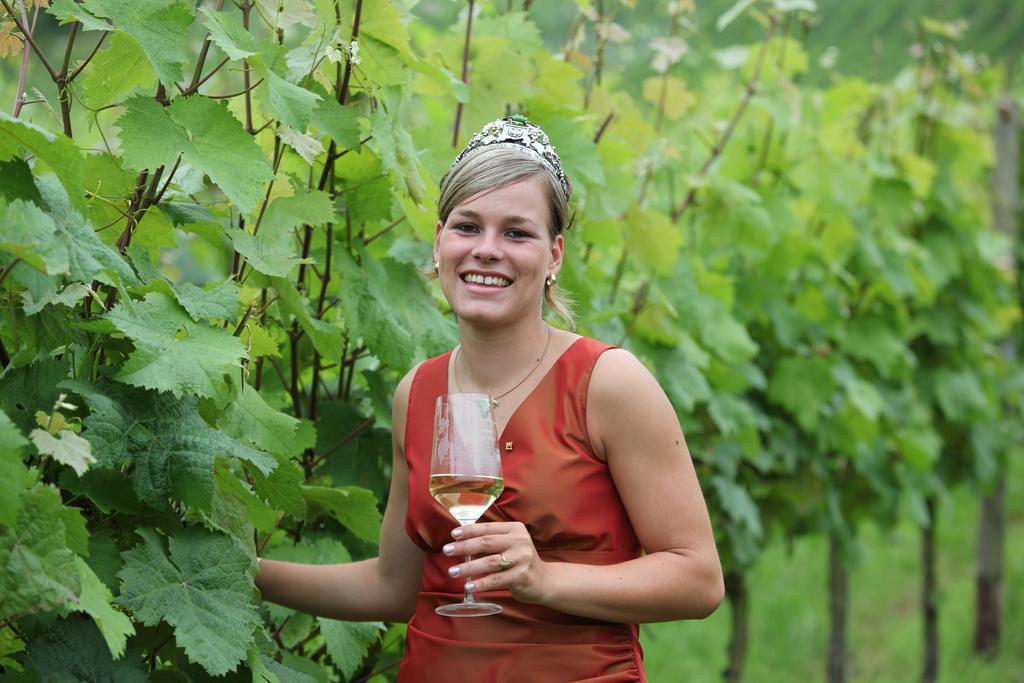 Weingut-Brennerei-Gaestehaus Emil Dauns 瑞尔 外观 照片