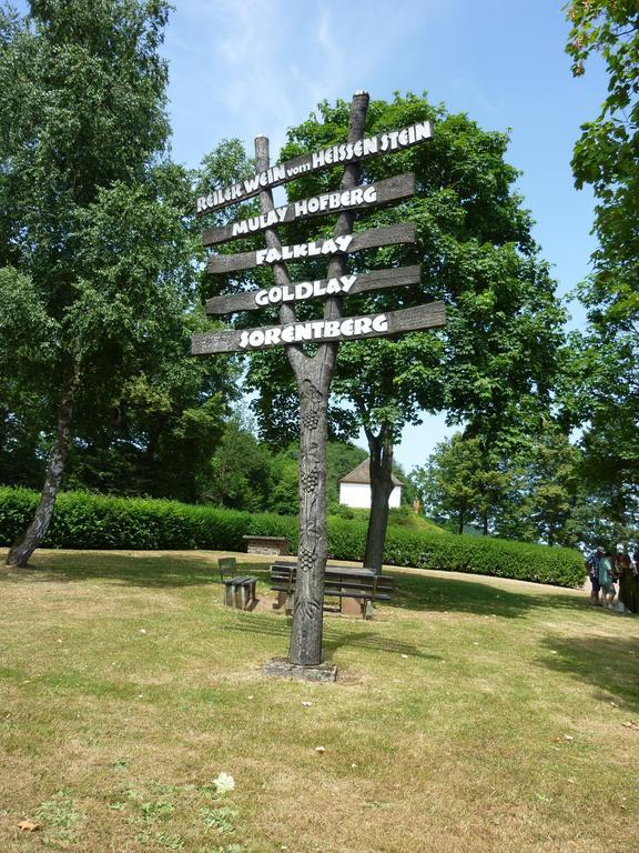 Weingut-Brennerei-Gaestehaus Emil Dauns 瑞尔 外观 照片