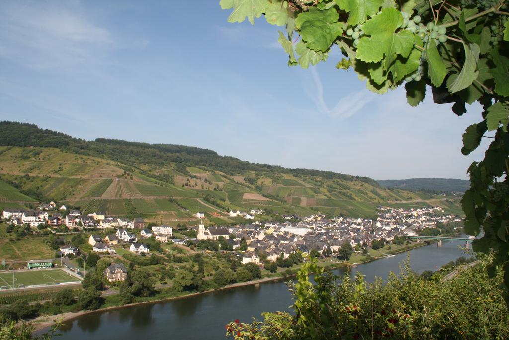 Weingut-Brennerei-Gaestehaus Emil Dauns 瑞尔 外观 照片