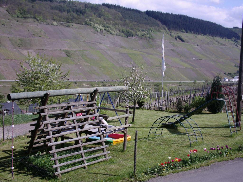 Weingut-Brennerei-Gaestehaus Emil Dauns 瑞尔 外观 照片