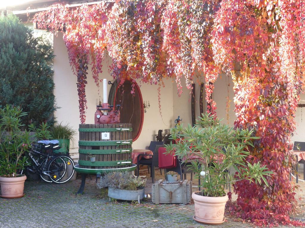 Weingut-Brennerei-Gaestehaus Emil Dauns 瑞尔 外观 照片