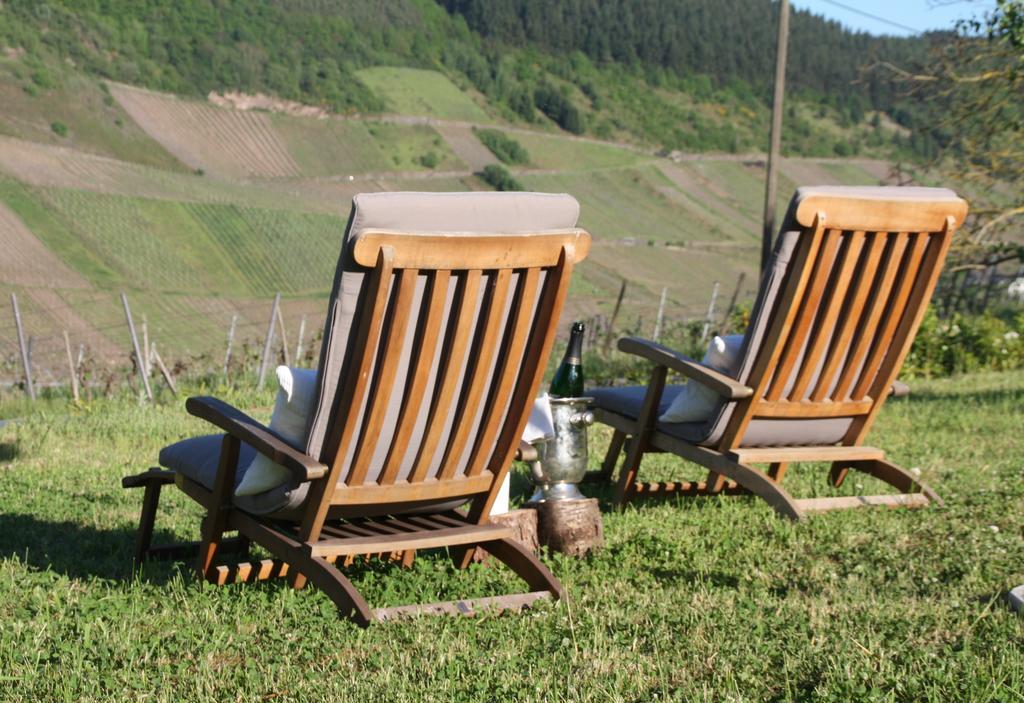 Weingut-Brennerei-Gaestehaus Emil Dauns 瑞尔 外观 照片