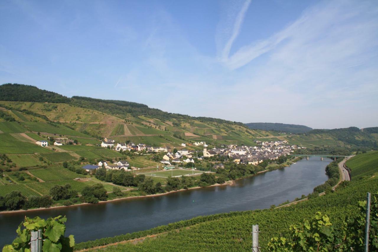 Weingut-Brennerei-Gaestehaus Emil Dauns 瑞尔 外观 照片
