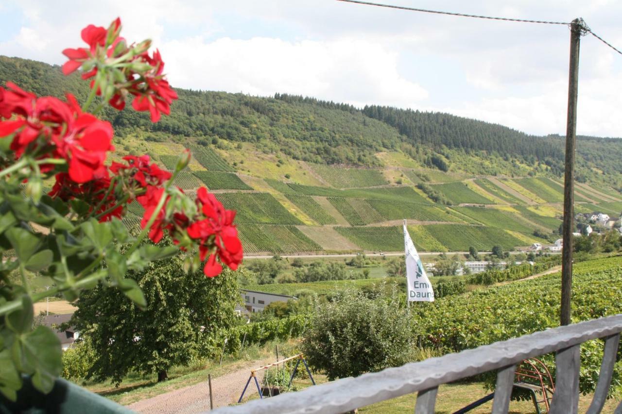 Weingut-Brennerei-Gaestehaus Emil Dauns 瑞尔 外观 照片