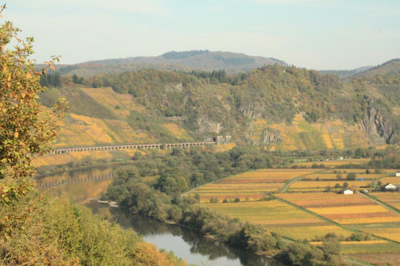 Weingut-Brennerei-Gaestehaus Emil Dauns 瑞尔 外观 照片